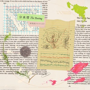 希腊毛茸茸的逼射精
